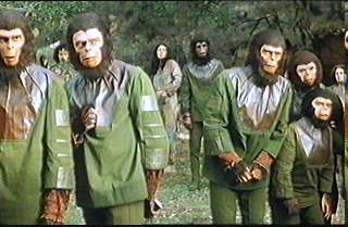 ...from the planet of the apes